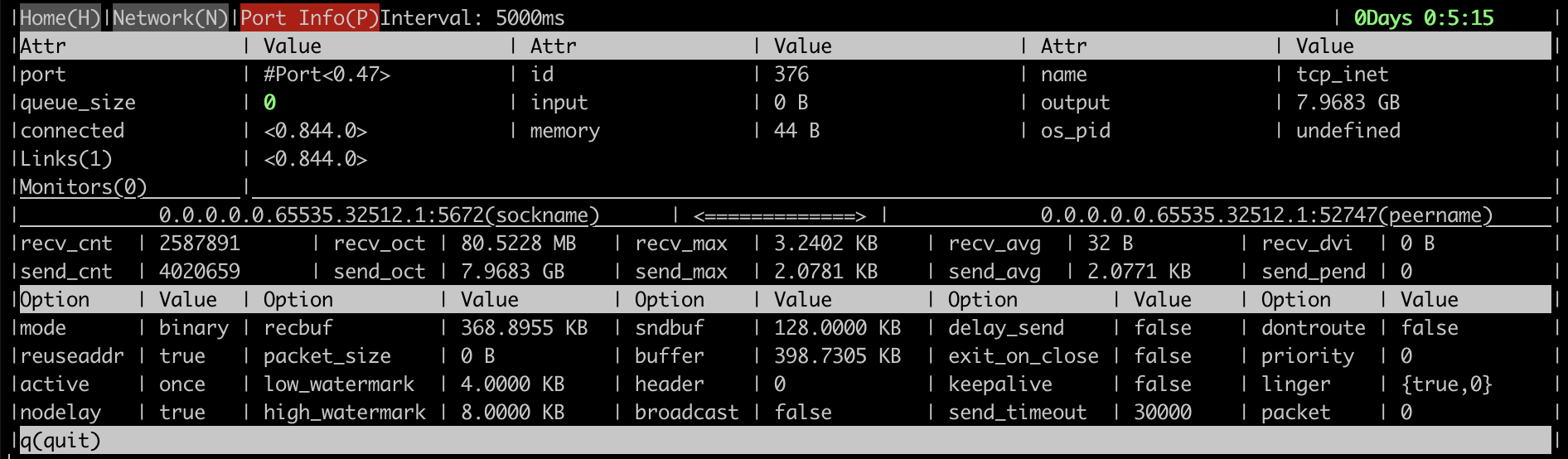 rabbitmq-diagnostics connection process